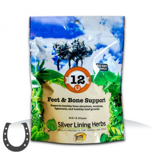 #12 Feet & Bone Support