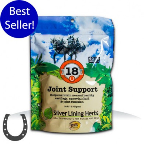 #18 Joint Support