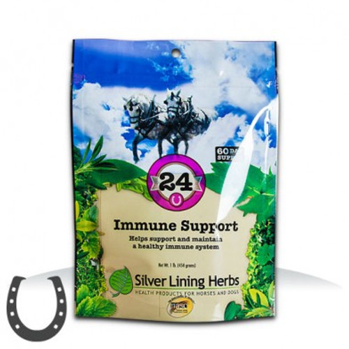 #24 Immune Support