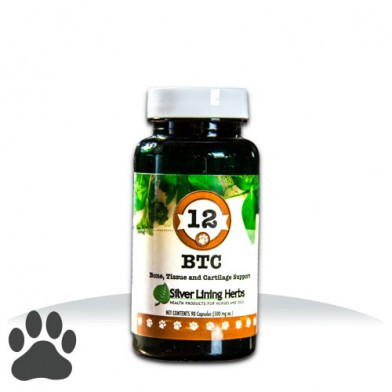 #12 BTC Bone, Tissue and Cartilage Support K-9