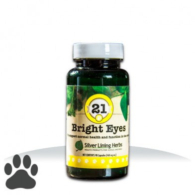 #21 Bright Eyes K-9