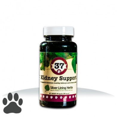 #37 Kidney Support K-9