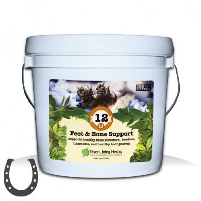 #12 Feet & Bone Support Bucket