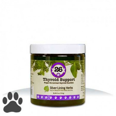 #26 Thyroid Support Powder K-9