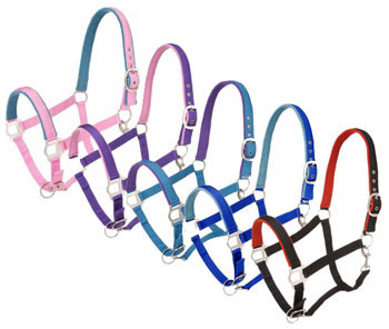 Tough-1 Nylon Padded Pony Halter with Satin Hardware