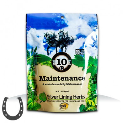 #10 Maintenance