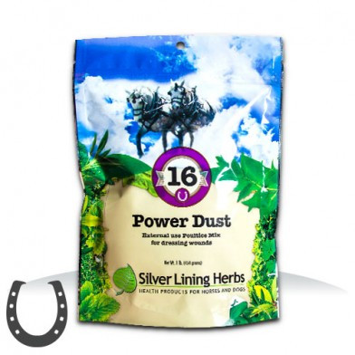 #16 Power Dust
