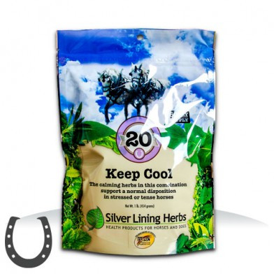 #20 Keep Cool