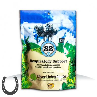 #22 Respiratory Support