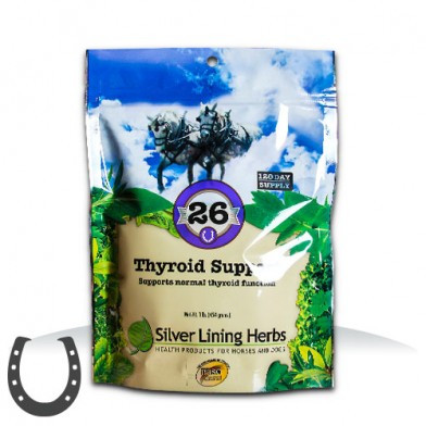 #26 Thyroid Support