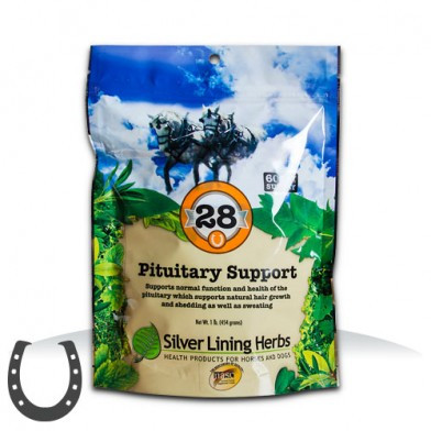 #28 Pituitary Support