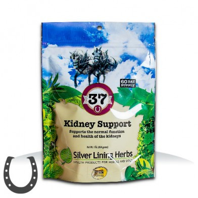 #37 Kidney Support