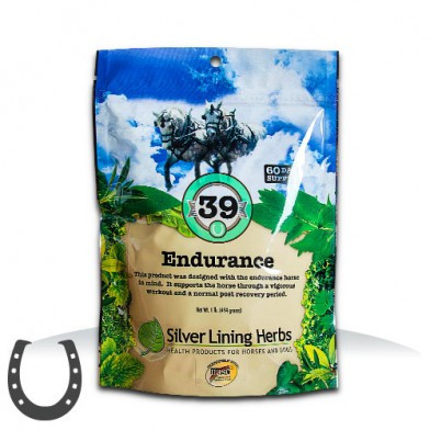 #39 Endurance