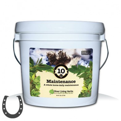 #10 Maintenance Bucket