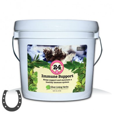 #24 Immune Support Bucket
