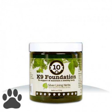 #10 Foundation Powder K-9