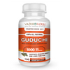 Vadik Herbs Guduchi