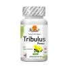 Sewanti Organic Tribulus Power
