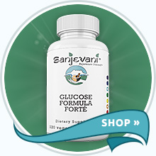 Shop Blood Sugar Support