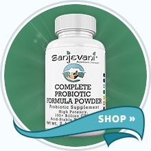 Shop Digestive / GI Support