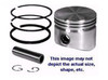 Piston Assembly 10-12HP (+010) Briggs & Stratton