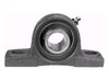 Pillow Block Bearing 1 X 5-1/2 Grasshopper