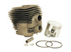 Cylinder & Piston Assy