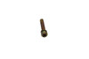 Tecumseh OEM Screw 30646