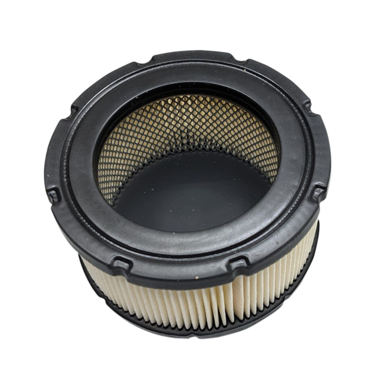 Tecumseh OEM 37452 Air Filter Cleaner