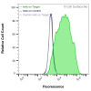 Flow Cytometry, Extracellular: HEK-293F cells transiently transfected with human ADAM8 were stained with ADAM8 Monoclonal Antibody (CSB0013) (green) or isotype control antibody (gray), followed by AlexaFluor 647- conjugated anti-Mouse IgG secondary antibody. HEK-293F cells transiently transfected with an empty control vector were also stained with ADAM8 Monoclonal Antibody (CSB0013) (blue).