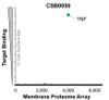 Membrane Proteome Specificity: The specificity of TNF Monoclonal Antibody (CSB0050) was tested on the Membrane Proteome Array™ and shown to be specific for human TNF. The Membrane Proteome Array™ contains 6,000 different human membrane proteins, each expressed in unfixed human cells to ensure native conformation and post-translational modifications. The Membrane Proteome Array™ represents the industry standard for determining the binding specificity of antibodies and other protein ligands.