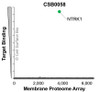 The specificity of NTRK1 Monoclonal Antibody (CSB0058) was tested on the Membrane Proteome Array™ and shown to be specific for human NTRK1. The Membrane Proteome Array™ contains 6,000 different human membrane proteins, each expressed in unfixed human cells to ensure native conformation and post-translational modifications. The Membrane Proteome Array™ represents the industry standard for determining the binding specificity of antibodies and other protein ligands.