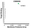 Membrane Proteome Specificity: The specificity of NTRK1 Monoclonal Antibody (CSB0058) was tested on the Membrane Proteome Array™ and shown to be specific for human NTRK1. The Membrane Proteome Array™ contains 6,000 different human membrane proteins, each expressed in unfixed human cells to ensure native conformation and post-translational modifications. The Membrane Proteome Array™ represents the industry standard for determining the binding specificity of antibodies and other protein ligands.