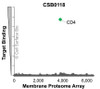 The specificity of CD4 Monoclonal Antibody (CSB0118) was tested on the Membrane Proteome Array™ and shown to be specific for human CD4. The Membrane Proteome Array™ contains 6,000 different human membrane proteins, each expressed in unfixed human cells to ensure native conformation and post-translational modifications. The Membrane Proteome Array™ represents the industry standard for determining the binding specificity of antibodies and other protein ligands.