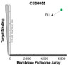 Membrane Proteome Specificity: The specificity of DLL4 Monoclonal Antibody (CSB0005) was tested on the Membrane Proteome Array™ and shown to be specific for human DLL4. The Membrane Proteome Array™ contains 6,000 different human membrane proteins, each expressed in unfixed human cells to ensure native conformation and post-translational modifications. The Membrane Proteome Array™ represents the industry standard for determining the binding specificity of antibodies and other protein ligands.