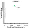 PD-1 is single-pass transmembrane protein and an immune-inhibitory receptor on activated T-cells. PD-1 plays a role in regulation of T-cell functions and is important for protecting against autoimmunity. PD-1 can also inhibit anti-microbial and anti-tumor immunity, and is expressed in various tumors, including melanomas. (NCBI Gene: 5133, UniProtKB/Swiss-Prot: Q15116) Other names: PD1, PDCD1, CD279, HSLE1, SLEB2, HPD-1, HPD-L