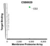 Membrane Proteome Specificity: The specificity of CD2 Monoclonal Antibody (CSB0029) was tested on the Membrane Proteome Array™ and shown to be specific for human CD2. The Membrane Proteome Array™ contains 6,000 different human membrane proteins, each expressed in unfixed human cells to ensure native conformation and post-translational modifications. The Membrane Proteome Array™ represents the industry standard for determining the binding specificity of antibodies and other protein ligands.