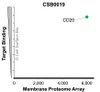 Membrane Proteome Specificity: The specificity of CD20 Monoclonal Antibody (CSB0019) was tested on the Membrane Proteome Array™ and shown to be specific for human CD20. The Membrane Proteome Array™ contains 6,000 different human membrane proteins, each expressed in unfixed human cells to ensure native conformation and post-translational modifications. The Membrane Proteome Array™ represents the industry standard for determining the binding specificity of antibodies and other protein ligands.
