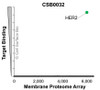 The specificity of HER2/ERBB2 Monoclonal Antibody (CSB0032) was tested on the Membrane Proteome Array™ and shown to be specific for human HER2/ERBB2. The Membrane Proteome Array™ contains 6,000 different human membrane proteins, each expressed in unfixed human cells to ensure native conformation and post-translational modifications. The Membrane Proteome Array™ represents the industry standard for determining the binding specificity of antibodies and other protein ligands.