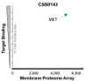 Membrane Proteome Specificity: The specificity of MET Monoclonal Antibody (CSB0143) was tested on the Membrane Proteome Array™ and shown to be specific for human MET. The Membrane Proteome Array™ contains 6,000 different human membrane proteins, each expressed in unfixed human cells to ensure native conformation and post-translational modifications. The Membrane Proteome Array™ represents the industry standard for determining the binding specificity of antibodies and other protein ligands.