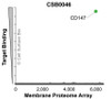 Membrane Proteome Specificity: The specificity of CD147 Monoclonal Antibody (CSB0046) was tested on the Membrane Proteome Array™ and shown to be specific for human CD147. The Membrane Proteome Array™ contains 6,000 different human membrane proteins, each expressed in unfixed avian cells to ensure native conformation and post-translational modifications. The Membrane Proteome Array™ represents the industry standard for determining the binding specificity of antibodies and other protein ligands.