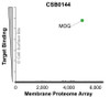 Membrane Proteome Specificity: The specificity of MOG Monoclonal Antibody (CSB0144) was tested on the Membrane Proteome Array™ and shown to be specific for human MOG. The Membrane Proteome Array™ contains 6,000 different human membrane proteins, each expressed in unfixed human cells to ensure native conformation and post-translational modifications. The Membrane Proteome Array™ represents the industry standard for determining the binding specificity of antibodies and other protein ligands.