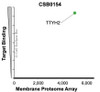 Membrane Proteome Specificity: The specificity of TTYH2 Monoclonal Antibody (CSB0154) was tested on the Membrane Proteome Array™ and shown to be specific for human TTYH2. The Membrane Proteome Array™ contains 6,000 different human membrane proteins, each expressed in unfixed avian cells to ensure native conformation and post-translational modifications. The Membrane Proteome Array™ represents the industry standard for determining the binding specificity of antibodies and other protein ligands.