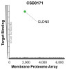 Membrane Proteome Specificity: The specificity of Claudin-5 Monoclonal Antibody (CSB0171) was tested on the Membrane Proteome Array™ and shown to be specific for human Claudin-5. The Membrane Proteome Array™ contains 6,000 different human membrane proteins, each expressed in unfixed human cells to ensure native conformation and post-translational modifications. The Membrane Proteome Array™ represents the industry standard for determining the binding specificity of antibodies and other protein ligands.