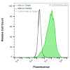 Flow Cytometry, Extracellular: HEK-293F cells transiently transfected with human CDH17 were stained with CDH17 Monoclonal Antibody (CSB0179) (green) or isotype control antibody (gray), followed by AlexaFluor 647- conjugated anti-Mouse IgG secondary antibody. HEK-293F cells transiently transfected with an empty control vector were also stained with CDH17 Monoclonal Antibody (CSB0179) (blue).