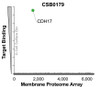 Membrane Proteome Specificity: The specificity of CDH17 Monoclonal Antibody (CSB0179) was tested on the Membrane Proteome Array™ and shown to be specific for human CDH17. The Membrane Proteome Array™ contains 6,000 different human membrane proteins, each expressed in unfixed human cells to ensure native conformation and post-translational modifications. The Membrane Proteome Array™ represents the industry standard for determining the binding specificity of antibodies and other protein ligands.