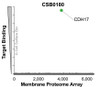 Membrane Proteome Specificity: The specificity of CDH17 Monoclonal Antibody (CSB0180) was tested on the Membrane Proteome Array™ and shown to be specific for human CDH17. The Membrane Proteome Array™ contains 6,000 different human membrane proteins, each expressed in unfixed human cells to ensure native conformation and post-translational modifications. The Membrane Proteome Array™ represents the industry standard for determining the binding specificity of antibodies and other protein ligands.