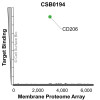 Membrane Proteome Specificity: The specificity of CD206 Monoclonal Antibody (CSB0194) was tested on the Membrane Proteome Array™ and shown to be specific for human CD206. The Membrane Proteome Array™ contains 6,000 different human membrane proteins, each expressed in unfixed human cells to ensure native conformation and post-translational modifications. The Membrane Proteome Array™ represents the industry standard for determining the binding specificity of antibodies and other protein ligands.