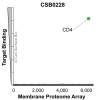 Membrane Proteome Specificity: The specificity of CD4 Monoclonal Antibody (CSB0228) was tested on the Membrane Proteome Array™ and shown to be specific for CD4. The Membrane Proteome Array™ contains 6,000 different human membrane proteins, each expressed in unfixed Human cells to ensure native conformation and post-translational modifications. The Membrane Proteome Array™ represents the industry standard for determining the binding specificity of antibodies and other protein ligands.