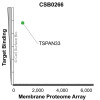 Membrane Proteome Specificity: The specificity of TSPAN33 Monoclonal Antibody (CSB0266) was tested on the Membrane Proteome Array™ and shown to be specific for human TSPAN33. The Membrane Proteome Array™ contains 6,000 different human membrane proteins, each expressed in unfixed Avian cells to ensure native conformation and post-translational modifications. The Membrane Proteome Array™ represents the industry standard for determining the binding specificity of antibodies and other protein ligands.